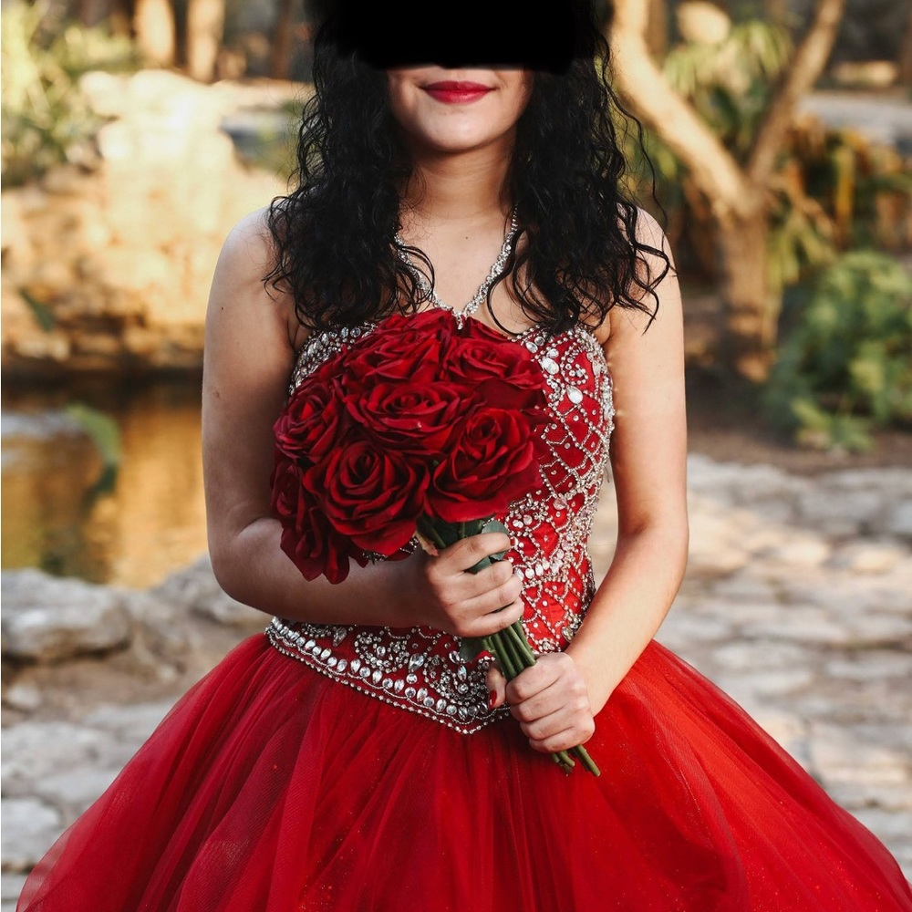 Quinceanera / Sweet 16 dress